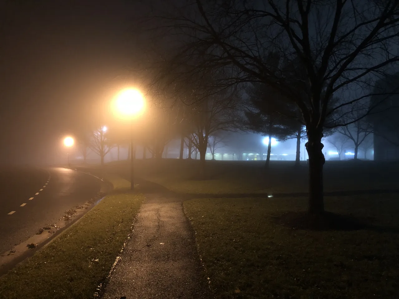 Streetlights glowing through dense night fog along a branching footpath